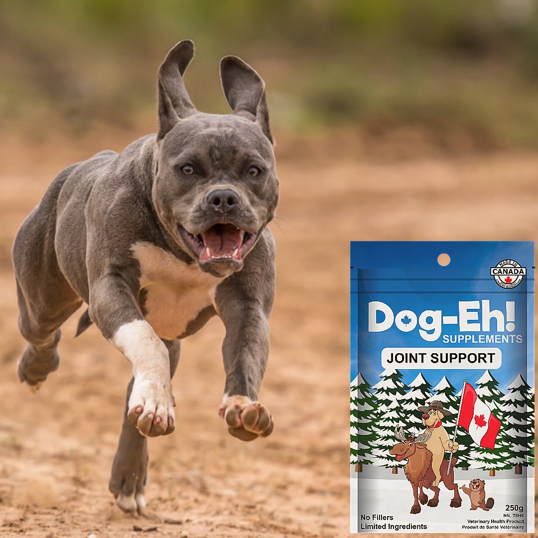 DogEhOfficial's tweet photo. Are you trying to keep age from catching up with your dog? Check out Dog-Eh! Joint Support at https://t.co/kWUmyEDwuU ππ
#whenyouknowyouknow #insidersgetit #areyouintheknow #doghealth #doghealthsecret #dogsecrets #dogsupplements #dogjointsupport #dogeh #dogehjointsupport https://t.co/gQAsDW5Az8