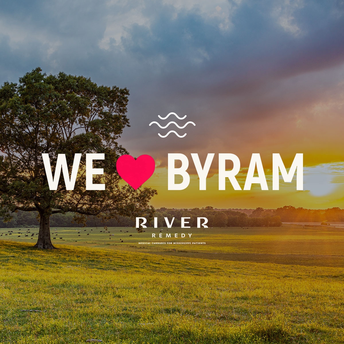 riverremedyms's tweet photo. Located in the heart of Mississippi, Byram is a hub for trade and transportation. We’re proud that our location has made us an integral part of not only this community but also others throughout the state! 

#BestCityEver #medicalmarijuana #mississippi #dispensary
#Byram #ByramMS https://t.co/pn32sxfryo