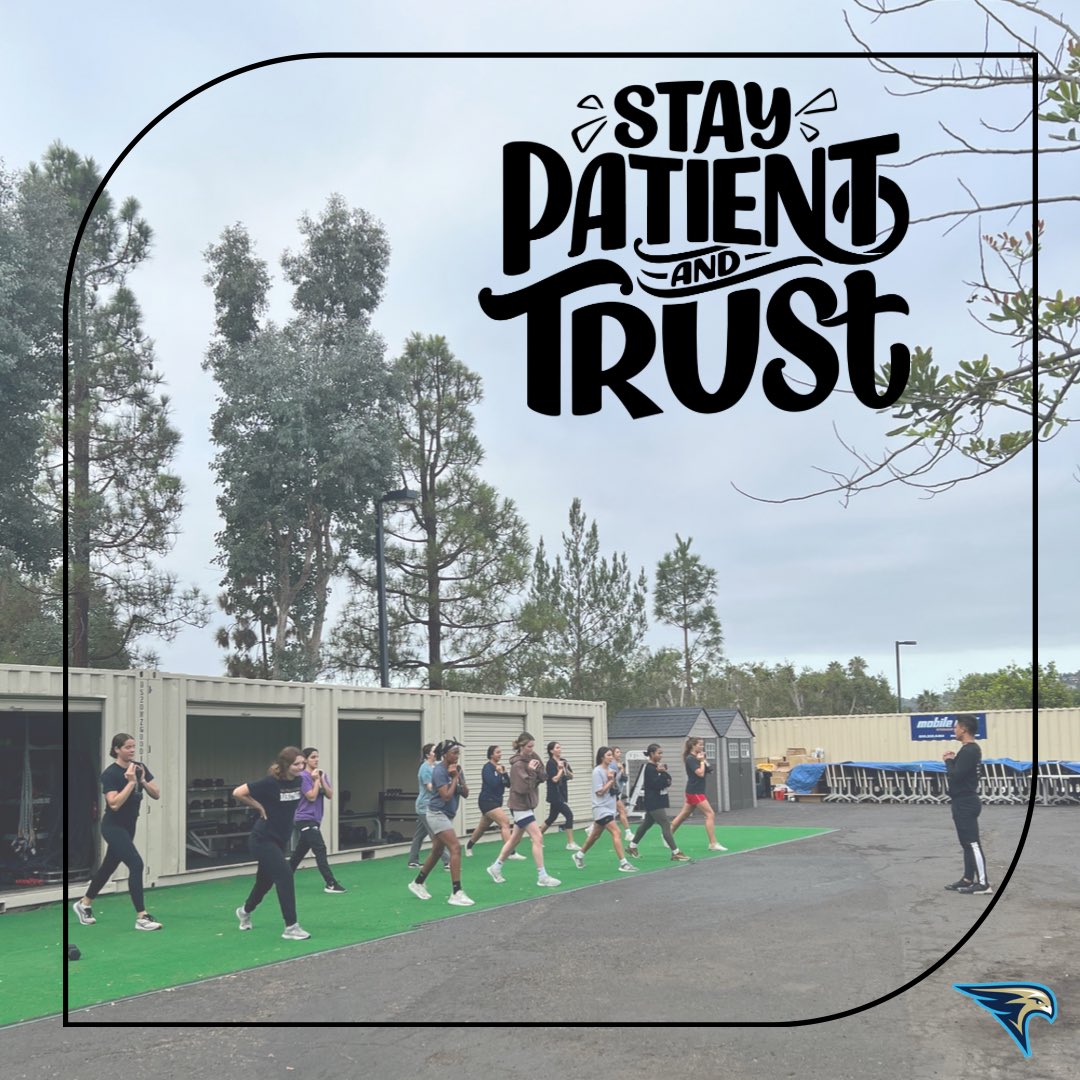 SDC WBB tweet media