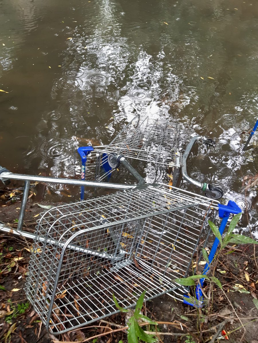 Trolleywise's tweet image. Found a trolley?
Why not report it with our app?
wanzl.com/en_GB/360-degr…