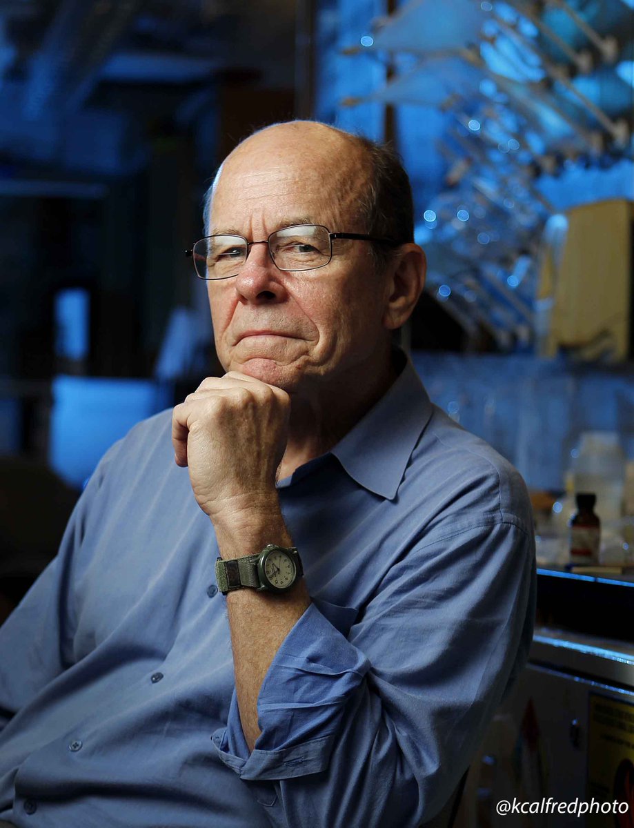 K.C. Alfred on Twitter