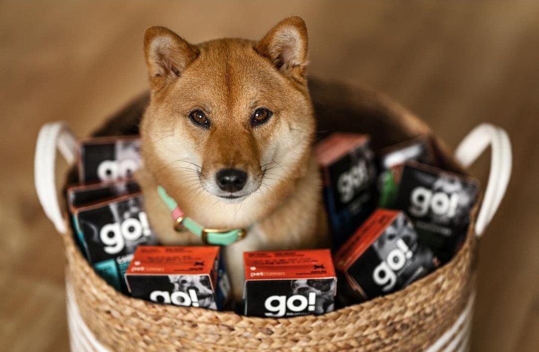flymoon_xyz's tweet photo. 🔥💪💫
Go go go #SHIB ‼️ Power up and break the app stores‼️ #ShibaEternity #OCT622 #October #ShibaEternityDownloadDay https://t.co/TTLue3qIEa