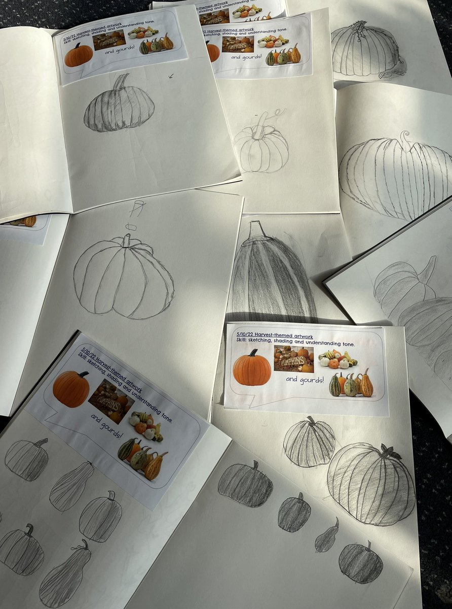 Revisiting our sketching and shading skills in preparation for the community Art Exhibition. #woolacombeschoolc360 #woolacombeschoolart #woolacombeschoolcommunity