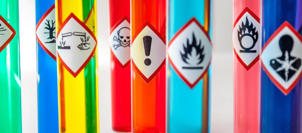 ECO NOVA tweet media