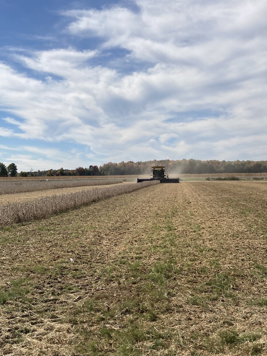 Taylor Brophy tweet media