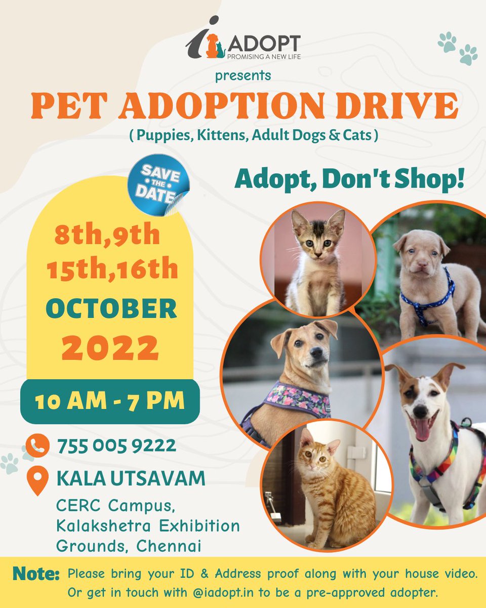 iadopt_in's tweet photo. See you all at the Pet Adoption Drive this weekend! 🤩
Come meet, greet and adopt your furry buddy for life! ❤️
#PawllywoodFest #iAdopt #adoptdontshop #chennaievents #petevents #petadoption https://t.co/uDRQPpBdbV