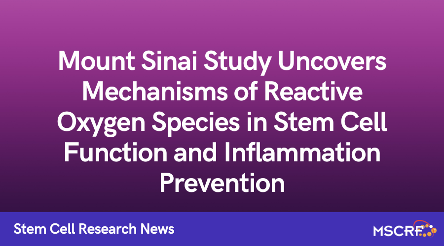 Mount Sinai Study Uncovers Mechanisms of Reactive Oxygen Species in Stem Cell Function and Inflammation Prevention. Learn more: ow.ly/ftre50L2c09  

Mentioned: <a href="/MountSinai_Path/">MountSinai Pathology</a>, <a href="/JudyCho7/">Judy Cho</a>, <a href="/MountSinaiNYC/">Mount Sinai Health System</a>, <a href="/UniofOxford/">University of Oxford</a> 
#stemcell #pathology #IBD #research