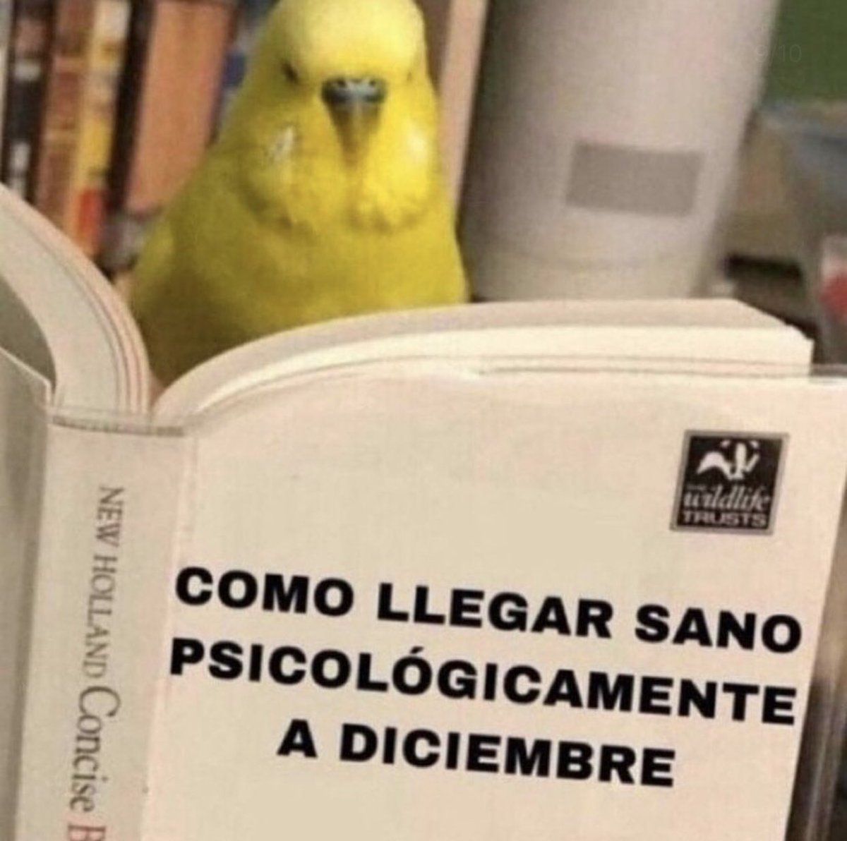 ValeenCesin's tweet photo. Yo viendo esto y pensando: ahh es que tengo que aguantar hasta diciembreee?  😂🤣😂 https://t.co/tGPEZidWD1