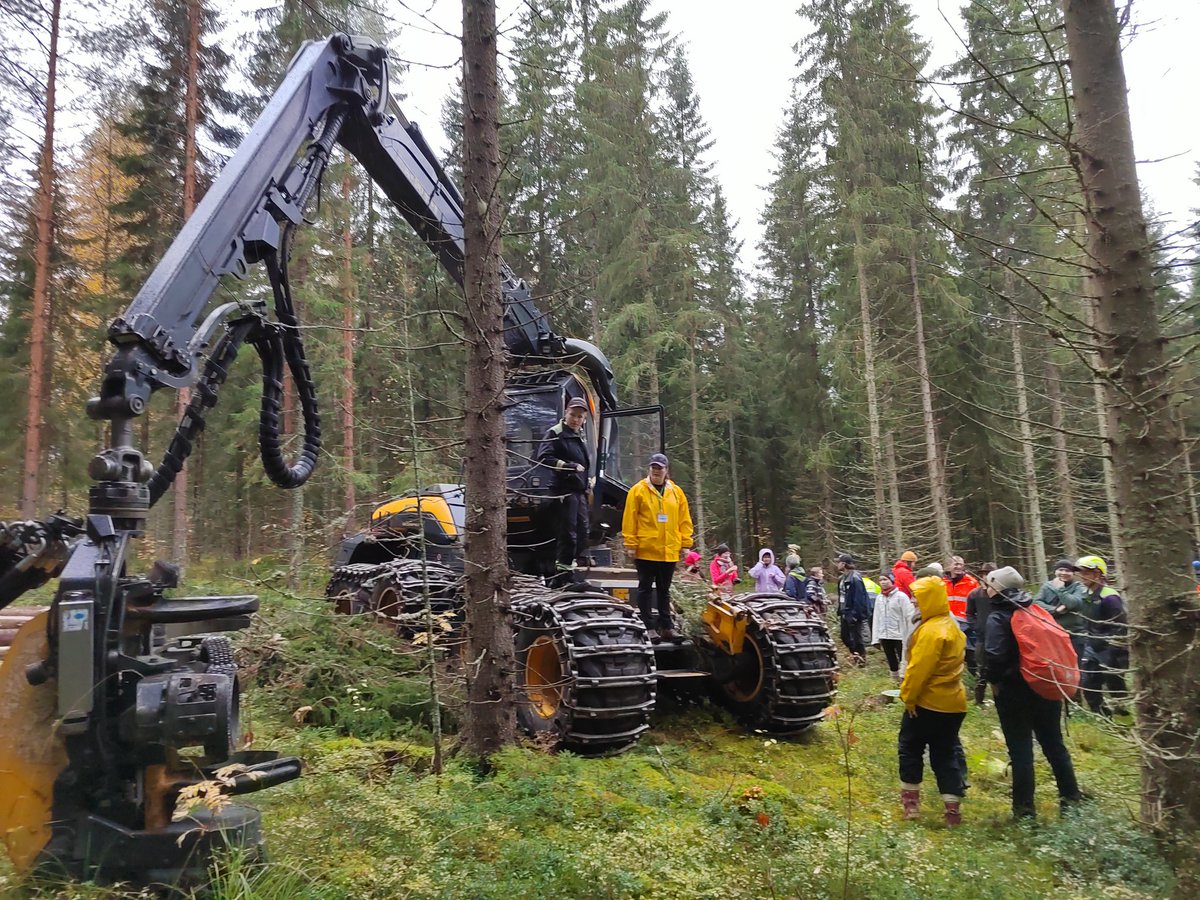 Suomen Metsäyhdistys tweet media