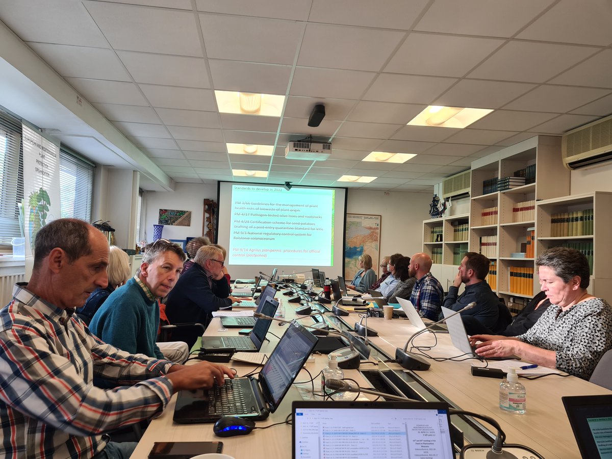 EPPOnews's tweet photo. The EPPO Panel on Quarantine Pests for Forestry is meeting in Paris this week. 
They discuss pest risk analysis, phytosanitary measures for forest pest, @ProjectHOMED project...
#planthealth https://t.co/9gBzHCn63n
