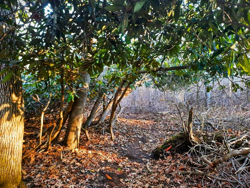 South Kingstown Land Trust tweet media