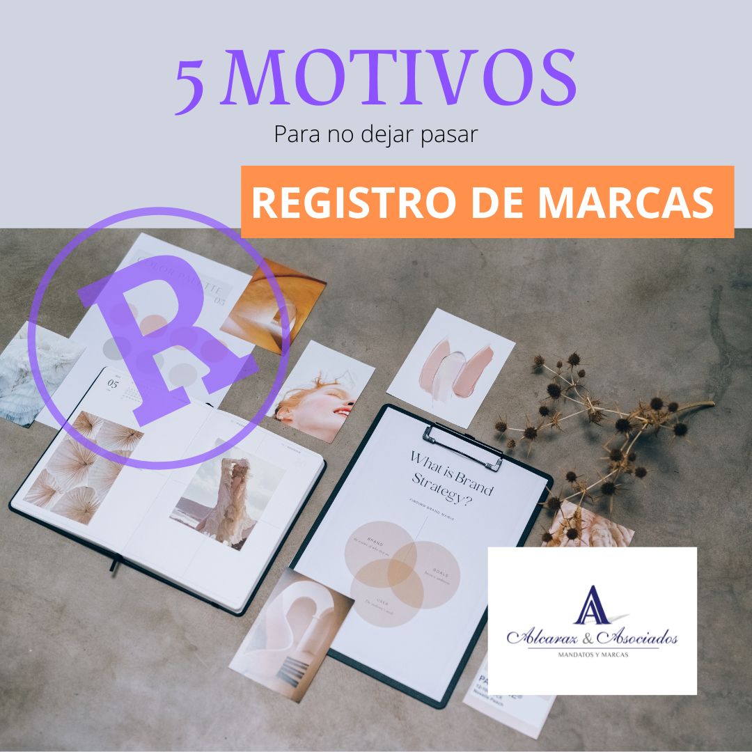 AlcarazyAsoc's tweet photo. 1️⃣ La marca es un activo intangible de tu empresa, y es el único activo que incrementa su valor con el tiempo.

2️⃣ Si se trabaja eficazmente, se gana reconocimiento y tu valor crece. https://t.co/KnR4rX41LB