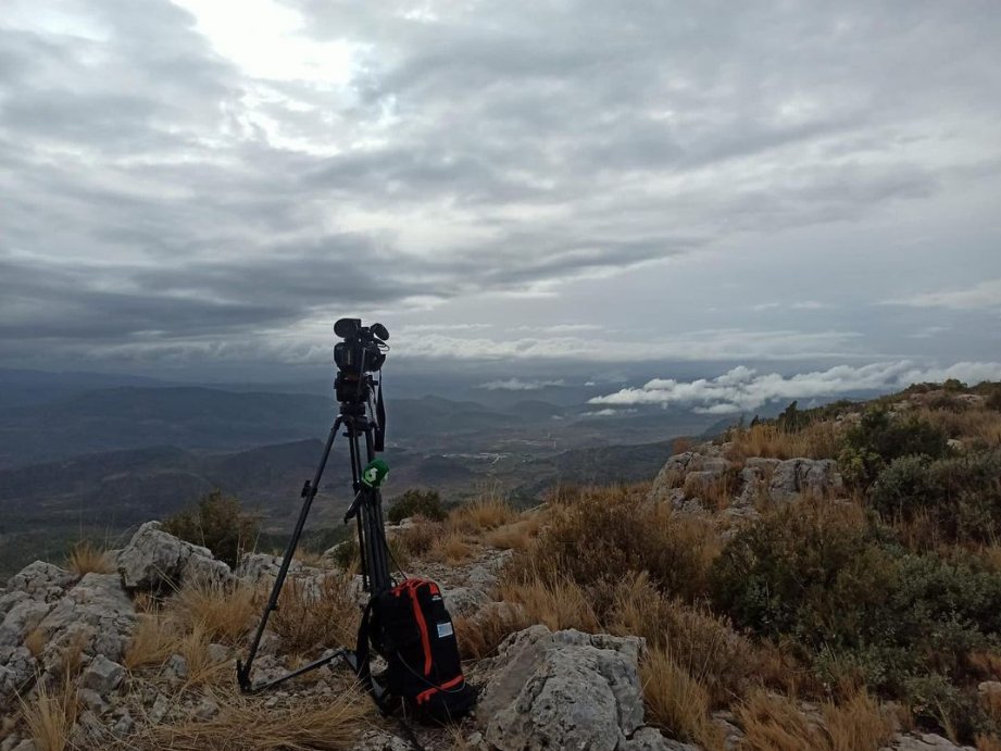 MobileViewpoint's tweet photo. We always have the best views.
#WMTlive #BondedCellular #TVcrew #TVnews #LiveTV
📸 @Ges_IT_ES https://t.co/QwwtKC7j5I