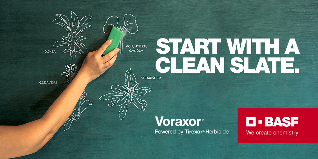 Success starts with a clean field. This coming season, make that a reality with the burndown activity of #Voraxor pre-seed herbicide to eliminate weeds in peas and lentils. agsolutions.ca/Voraxor #WestCdnAg