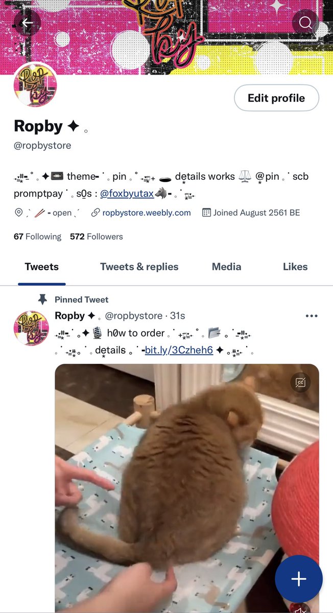 Ropby ✦ 𓈒 tweet media