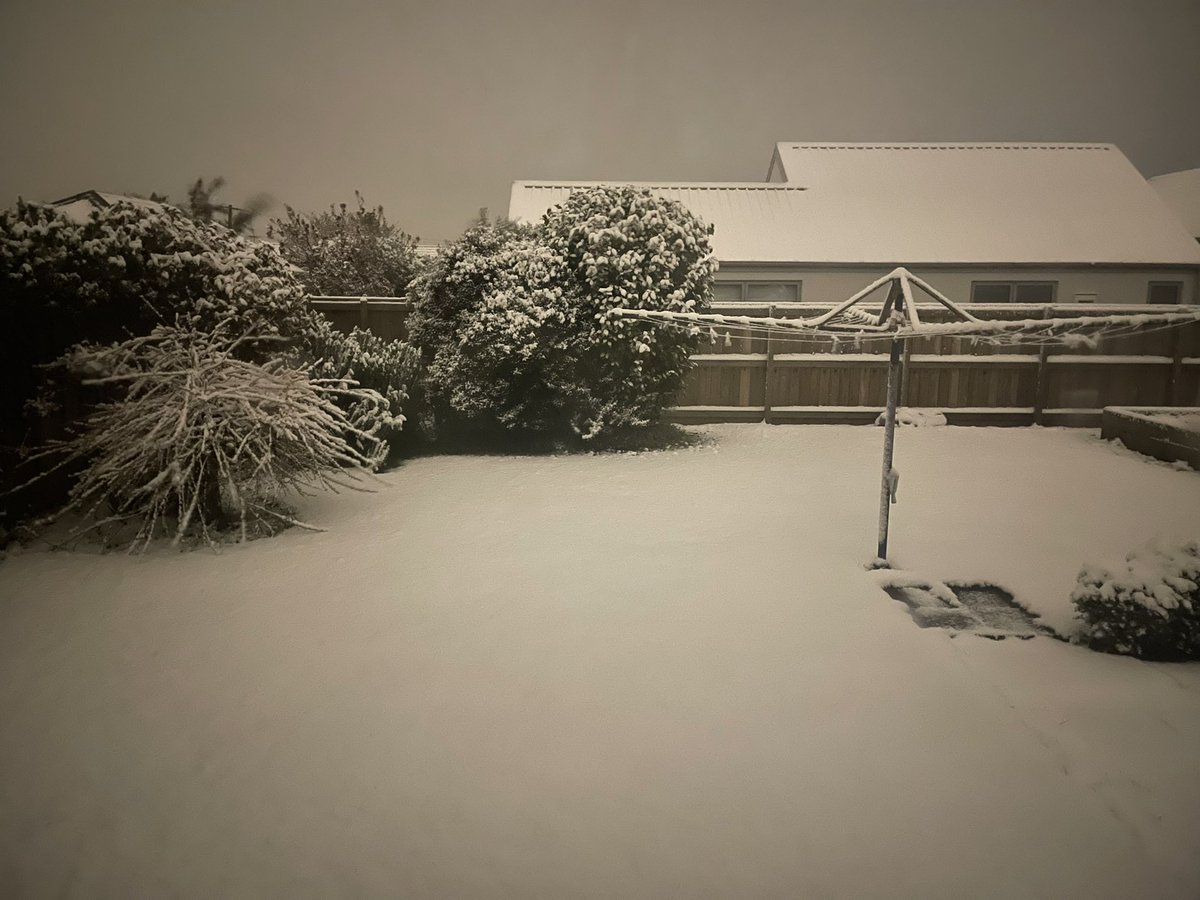 mamuni_ishita's tweet photo. Snow-capped backyard under the moonlight at 4:00 am. #Mosgiel #Dunedin https://t.co/ygfacGIJfQ