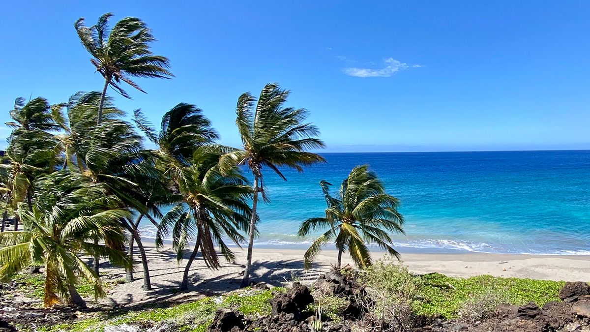 conservationall's tweet image. Hawaii’s Volcanoes National Park has just grown thanks to grantee @tpl_org! Working in partnership with @NatlParkService TPL purchased 16,456 acres, including 5.5 miles of shoreline, at Pōhue Bay on Hawai’i Island. Read more: bit.ly/3BNtM2W #wekeepitwild
📸: Lea Hong
