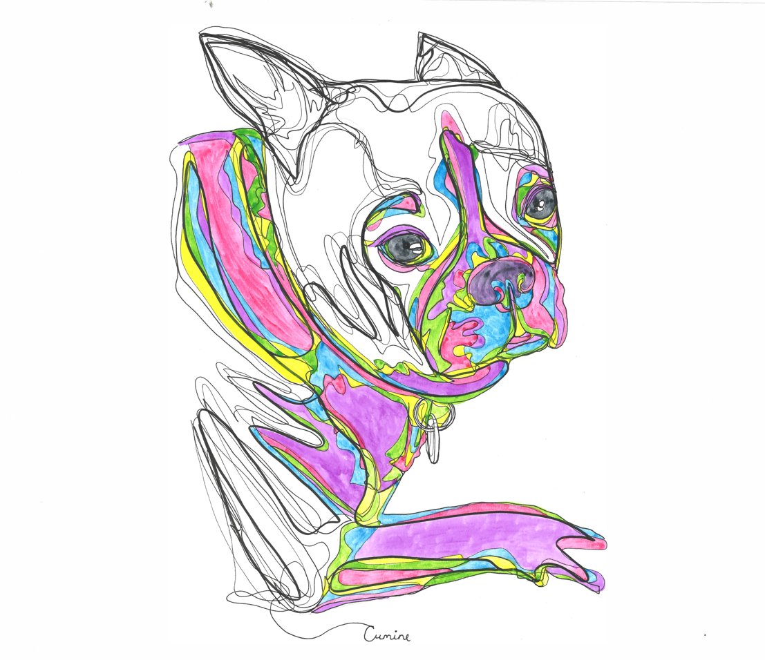 Only 3 Followers away from 800, I feel a #NFTGiveaways coming here is a quick preview ⬇️⬇️

#Ravencoin𓄿 🌕