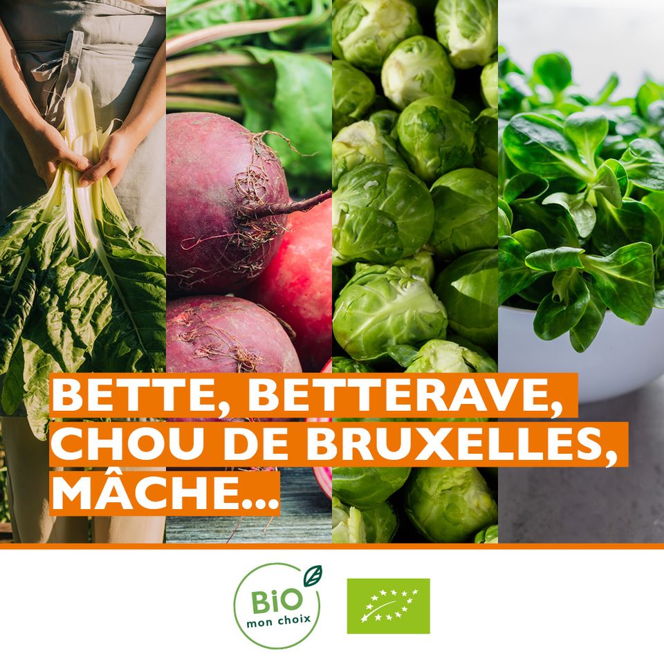 Biomonchoix's tweet photo. Chaque mois, nous vous proposons les fruits et légumes bio de saison. Voici ceux d'octobre!
#biomonchoix #biologique #saison https://t.co/8PABIHMfVY