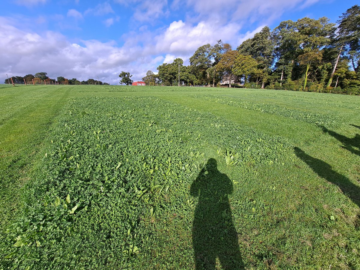 And that's a wrap. GASL delegates got a very interesting tour of the <a href="/DevenishNutri/">Devenish</a> Dowth site. Thankfully the weather sort of played ball! #LivestockAgenda <a href="/FAOLivestock/">FAO Livestock</a> <a href="/agriculture_ie/">Dept of Agriculture, Food and the Marine</a> <a href="/HeartLand_S2S/">HeartLand</a> <a href="/ConnieGrace16/">Connie Grace</a>