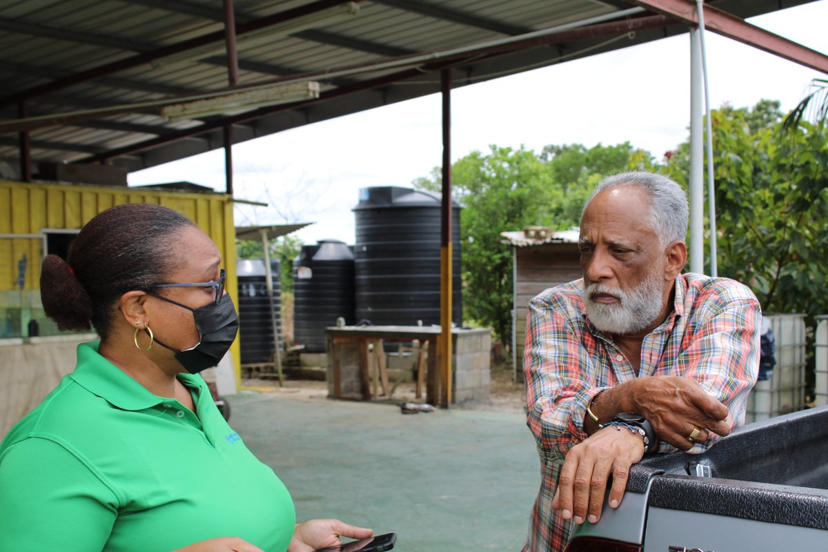 FAOCaribbean's tweet photo. Mr Christoper Penco, a tilapia farmer explains his challenges with producing tilapia for the local market with #FAO Value Chain expert Vermaran Extavour in #Trinida @FAOCaribbean @CARICOMorg @AMEXCID  
#aquaculture #valuechains https://t.co/oxfgjPrJ17