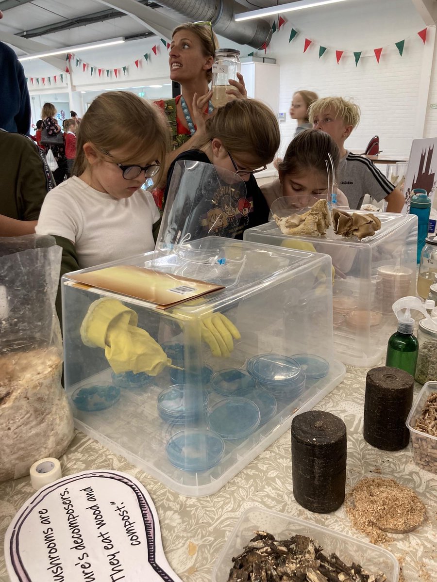 sthughspri's tweet photo. Year 5 had a great time celebrating Lincolnshire Day at the @LincsShowground 
Thanks to all the exhibitors  @LincsWildlife @LIATLincoln @ladies_in_pigs @bluecastlenews @LincChalkStream @Prikli_Pear @cotehillcheese @NaylorFlowers @IntBCC @lincscoop @oylincolnshire https://t.co/5cbOOoLlhP