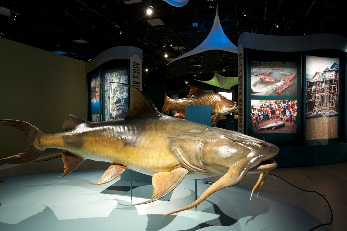 National Geographic Museum tweet media
