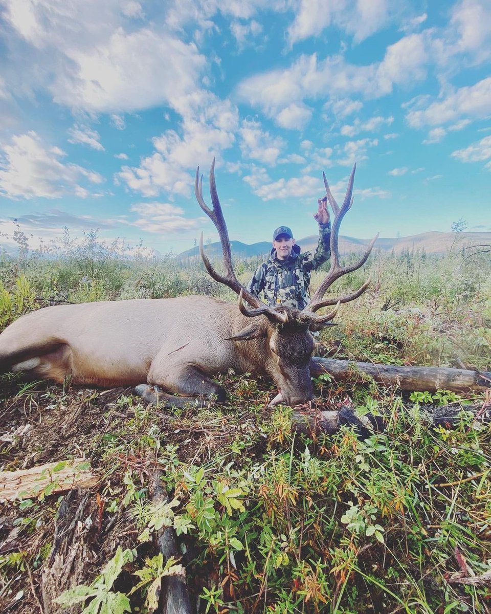 “This great bull was taken by host Scott Bigelow early in the season! We are late in getting pictures out but for good reason!  Being on the mountain sure makes the days pass!” — <a href="/P_I_Outdoors/">Pure Instinct</a> 

#sportsmancanada #elk #elkhunting #hunting #bugle #huntingseason #hunt #hunters