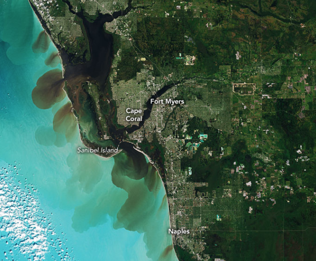 NASA Earth tweet media