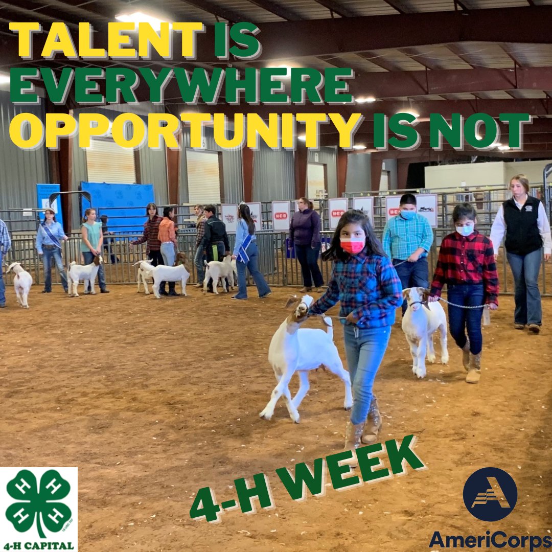#4Hweek celebrates opportunity for ALL youth

#opp4all
#4h

4-H youth walking their goats at the 2021 Travis County Youth Show.