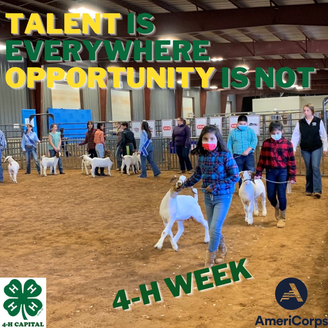 #4Hweek celebrates opportunity for ALL youth #opp4all #4h 4-H youth walking their goats at the 2021 Travis County Youth Show.