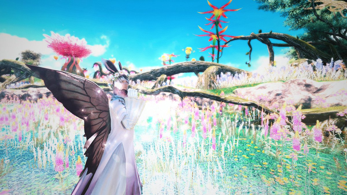NogardFal's tweet photo. #Buntober Day 5 - Nature
#Viera #GPOSER #GShade https://t.co/A5AaEsFZbb