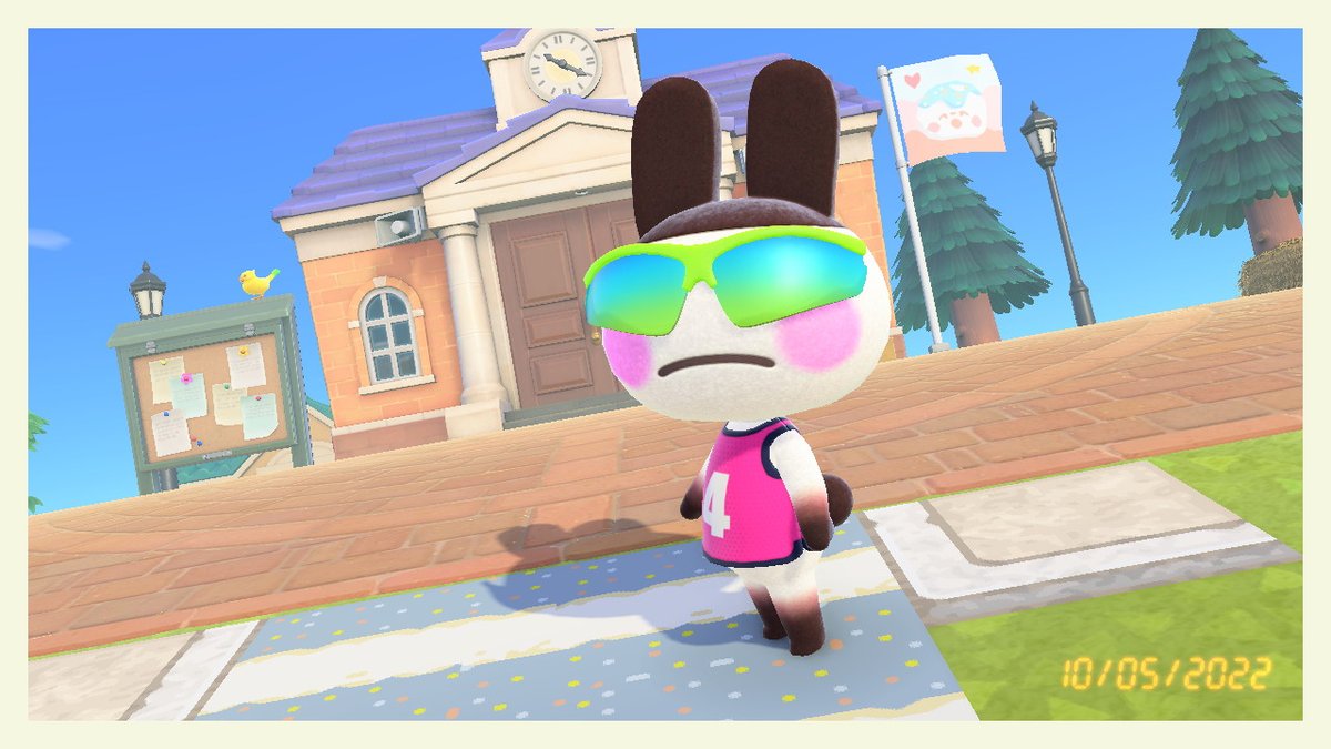 Student_Knox's tweet photo. #AnimalCrossing #ACNH #NintendoSwitch https://t.co/goVaFOFQ9H