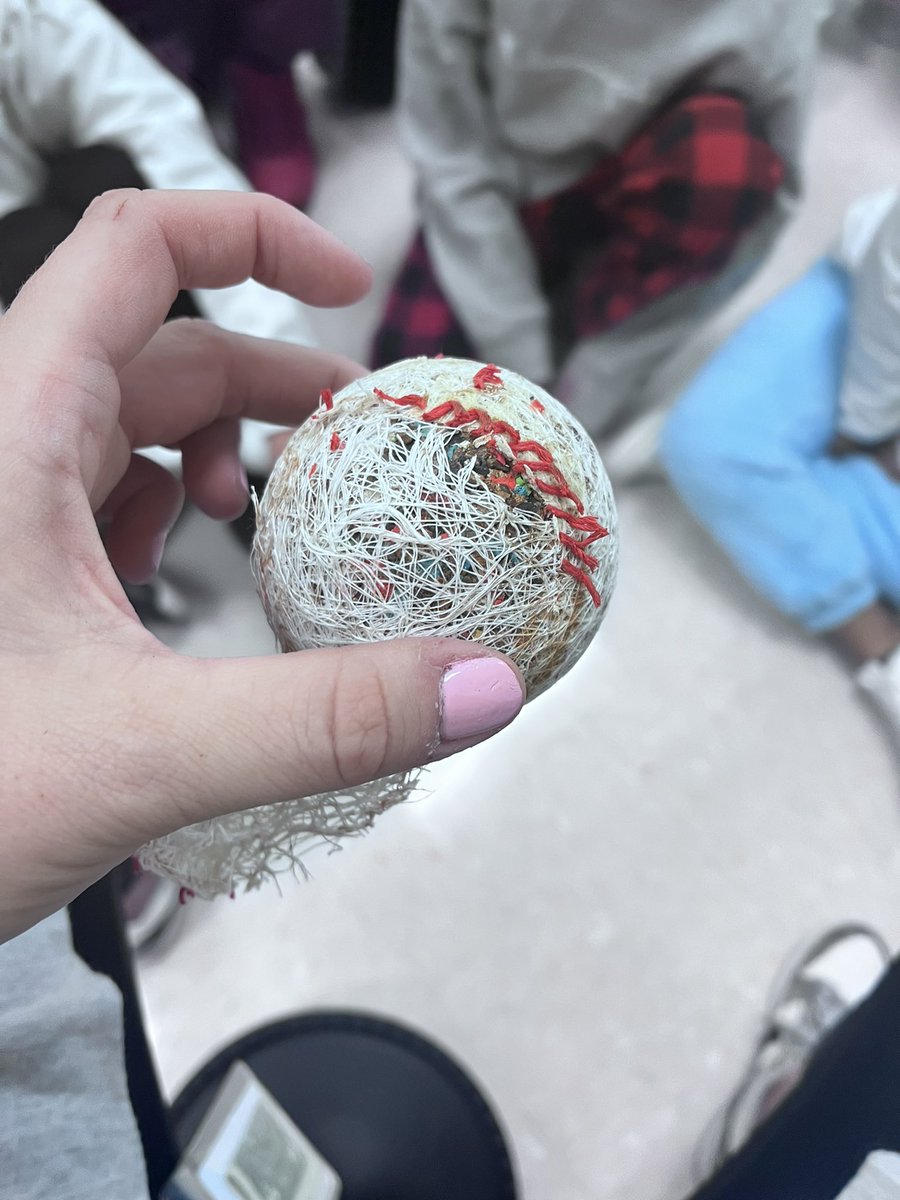 Jess Downey tweet media