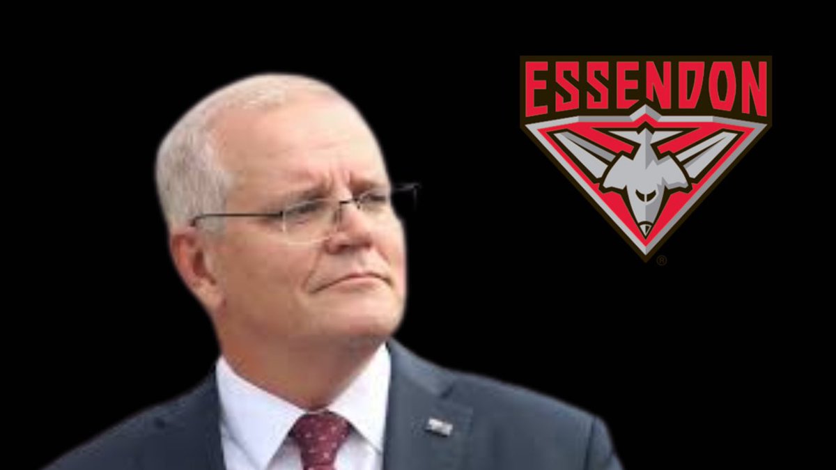 PinkCricketBall tweet media