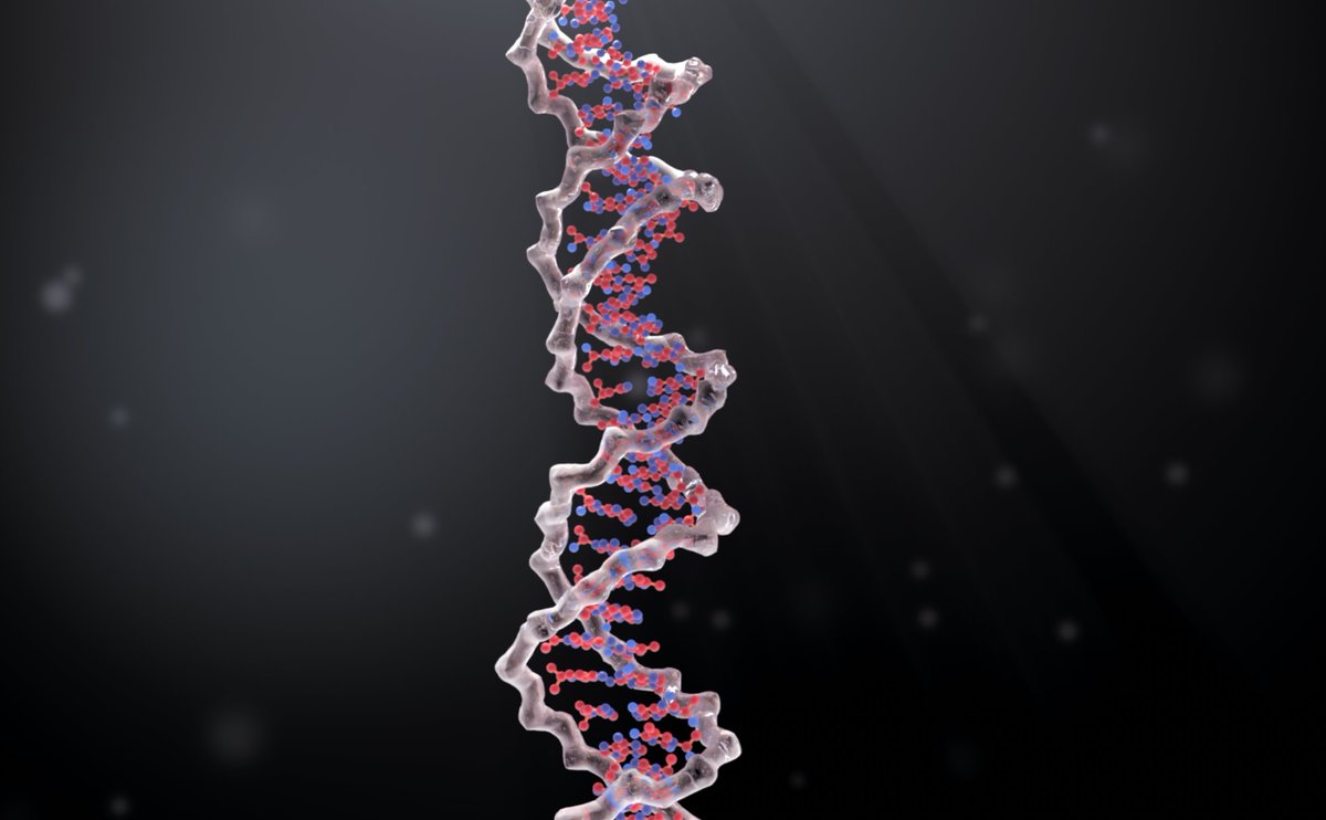 Upcoming e-Seminar! 19 October 2022 at 2pm CEST Dr Alya A. Arabi from <a href="/UAE_University/">UAEU</a>  will talk about "DNA Point Mutations in the Absence and Presence of Electric Fields". Info and registration 👉 compbiomed.eu/compbiomed-e-s…