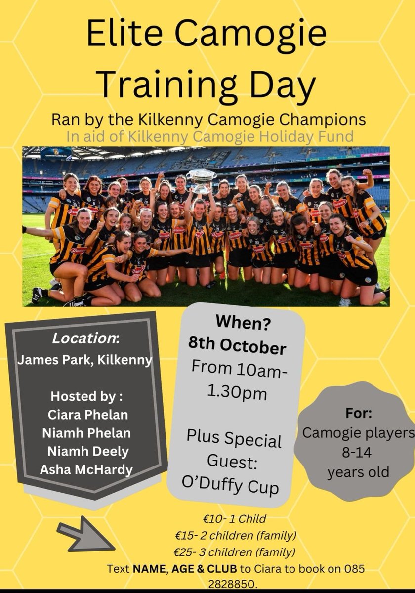 Dicksboro GAA & Camogie Club tweet media