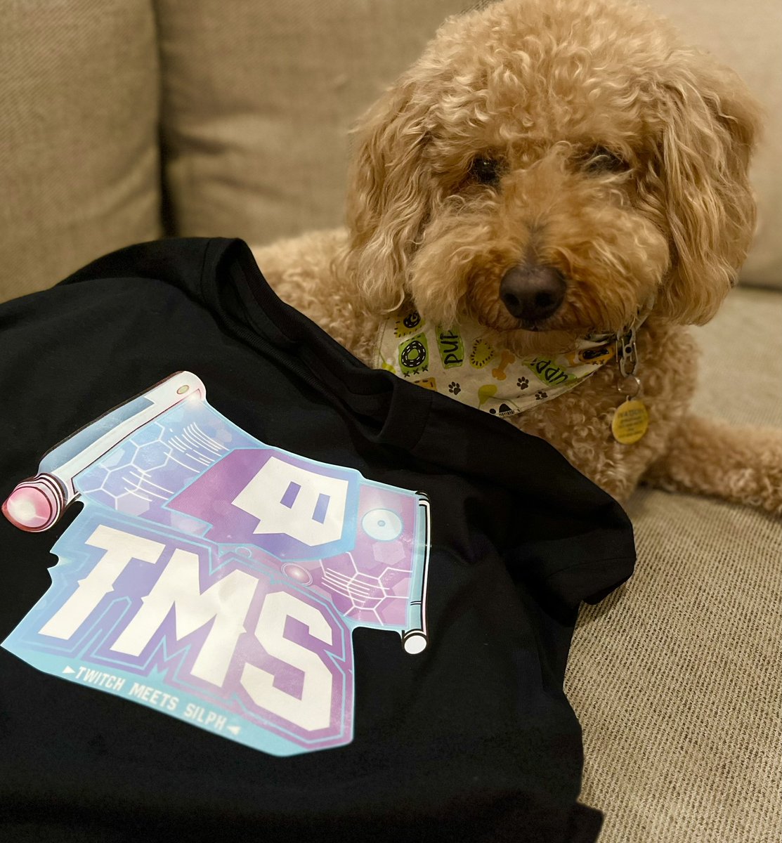 PediatricDDS's tweet photo. My pup Watson has declared @EliteTms as his favorite faction. Thanks so much @nicess for the swag! Good luck on the upcoming cycle. Also, can I be the team dentist? !Ticket #PokemonGo https://t.co/RrraFUZ7dt