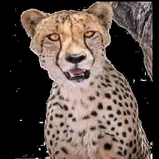 Goitsi1_Letsebe's tweet photo. @MaboeNdi The part after the wedding where people tell you they didn't get drinks at your wedding as if you were the one who was distributing the drinks. https://t.co/3jWmXx12bn