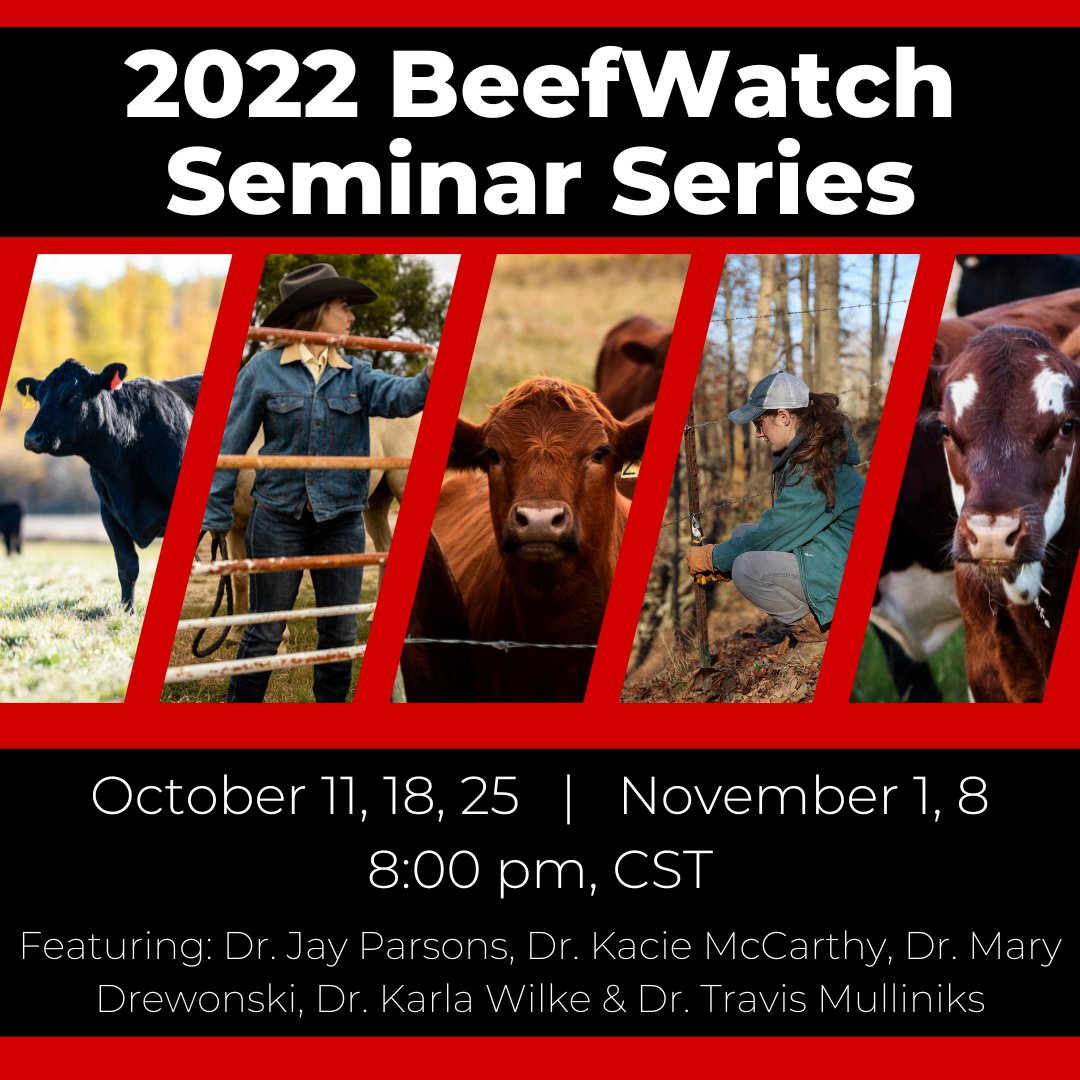 newomeninag's tweet photo. The BeefWatch Webinar series is designed to highlight management strategies to increase production efficiency and profitability. Each session is free and will feature industry experts.

Learn more about each webinar and register here: https://t.co/s60SCcaejM https://t.co/JlvurLH1CT
