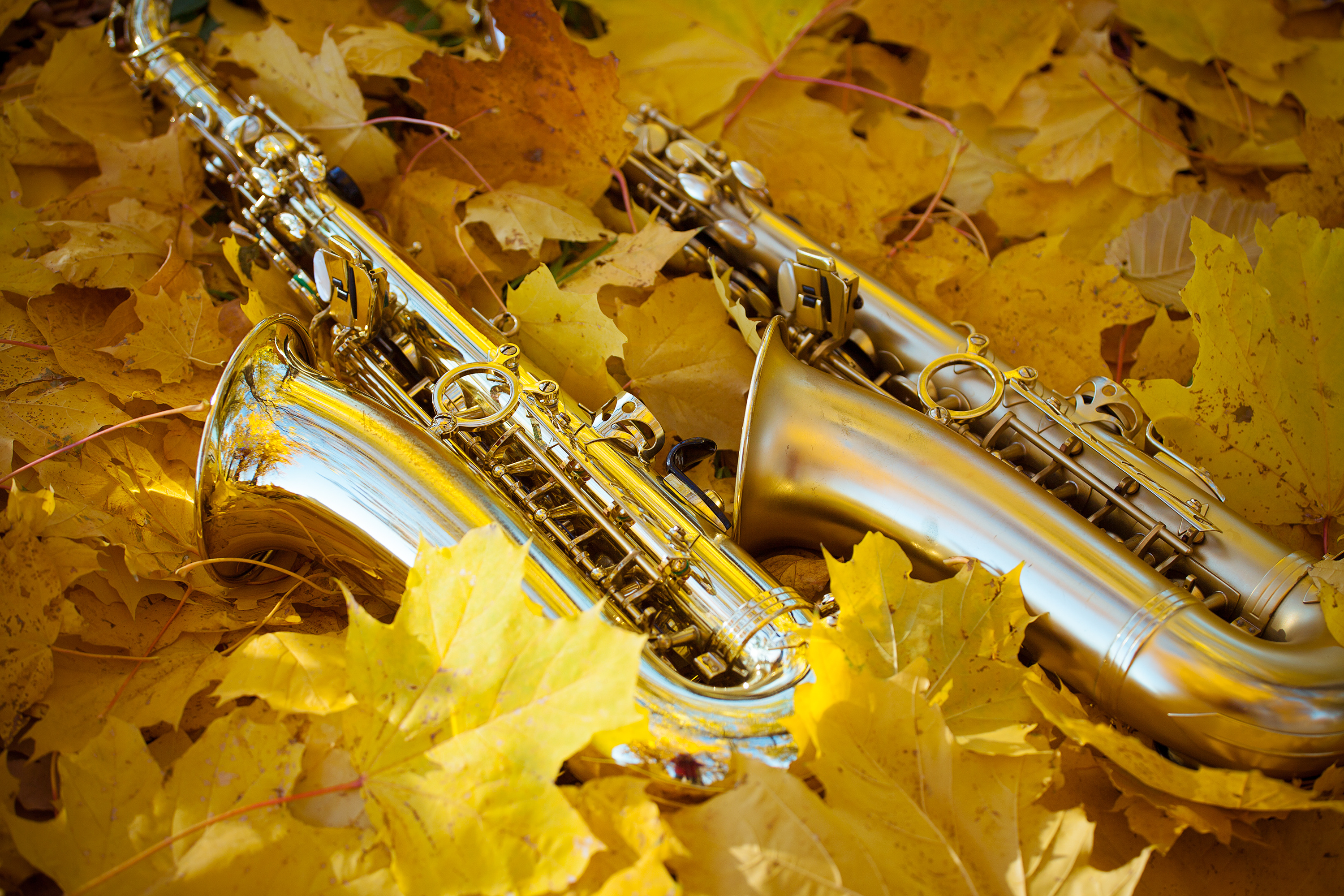 Осенний саксофон фото