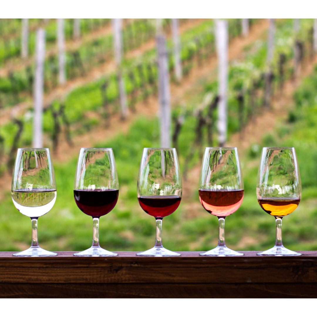 Grenaches du Monde tweet media