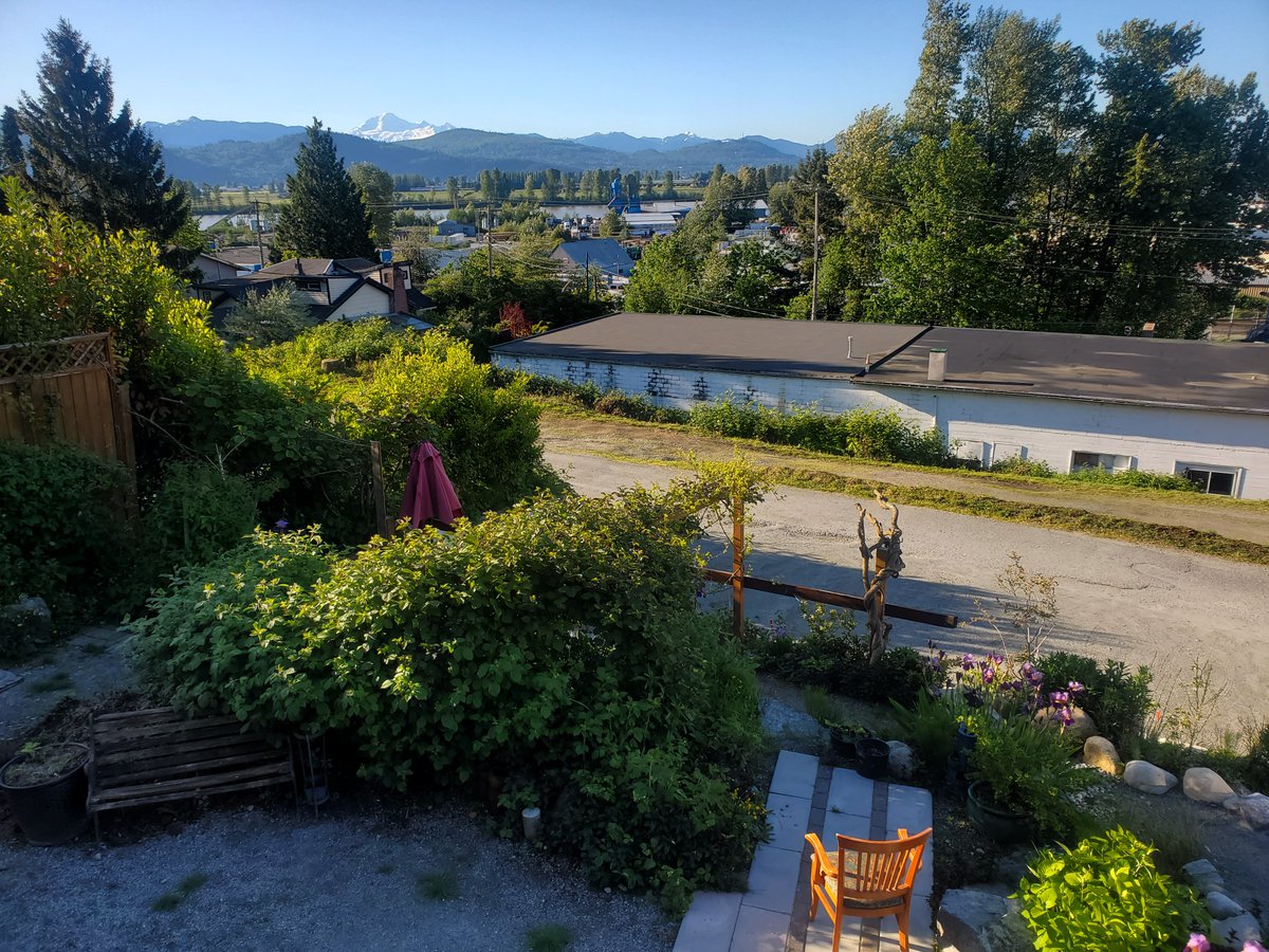 gajcoffeeshop's tweet photo. Spectacular views with water feature &amp; gardens
We are Downtown Mission and HAVE Parking!
 
Open to the public 8am-4pm Thursdays-Sundays 
604-820-4945 https://t.co/I7OOFFYXk7 
#ILoveMission #missionbc #fraservalley #specialtycoffee #brewbar 
 #missiondowntown #fraservalleybc https://t.co/5Ra0abdxiR