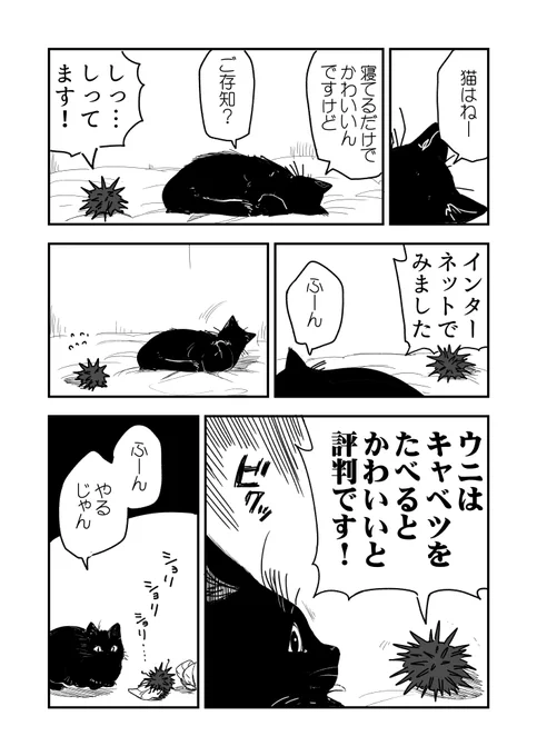 猫VSウニのウニ漫画です 