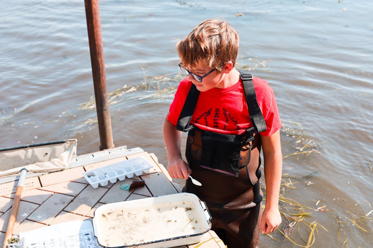 Angela Olsen tweet media