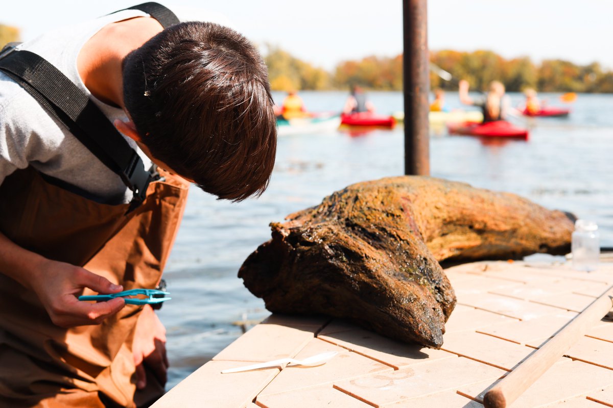 Angela Olsen tweet media