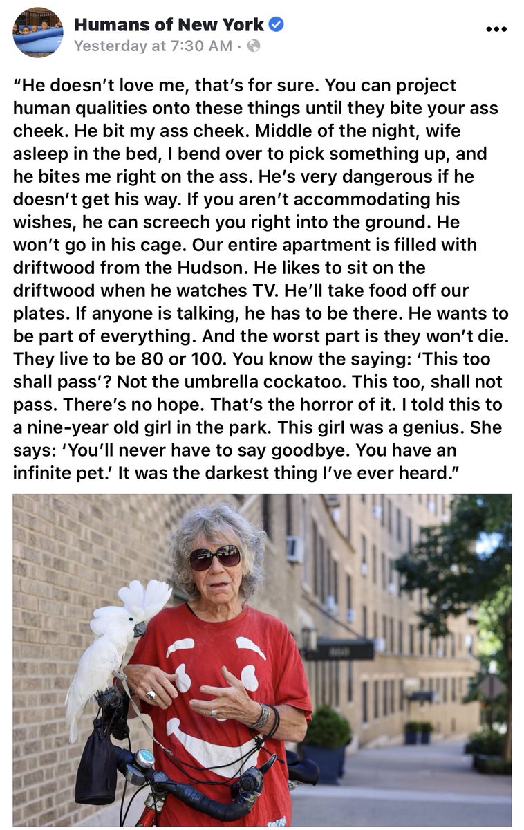 This might be one of the funniest descriptions of a bird that I’ve ever read. He’s gloriously awful, 🤣. And you KNOW they love him for it.