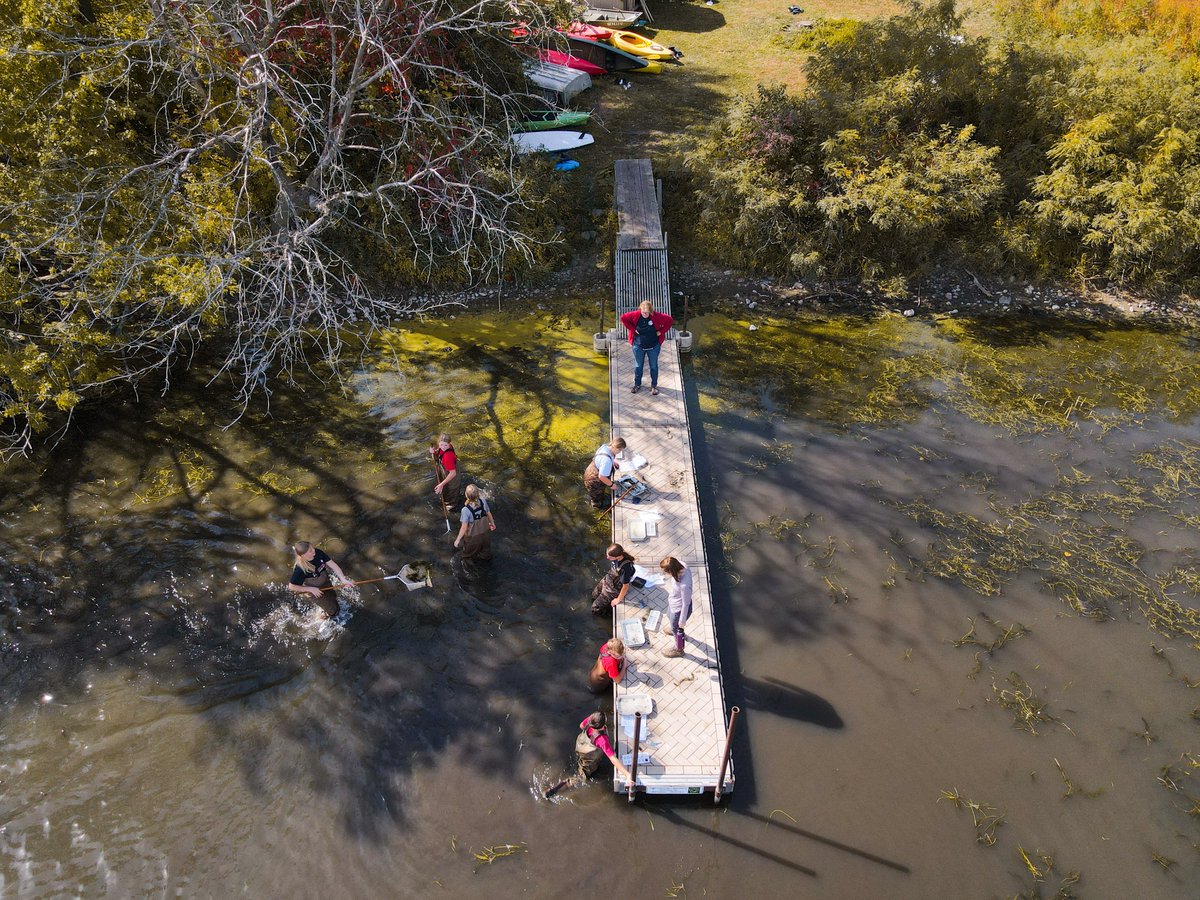 Angela Olsen tweet media