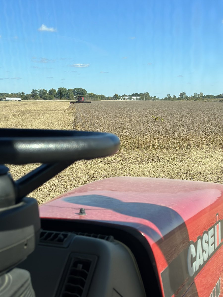 Cody_Brunes's tweet photo. Been a great last few days here in WCIN cutting @PioneerSeeds soybeans from @LuseSeeds! #BrunesFarms #harvest22 https://t.co/uExlOqcwRb