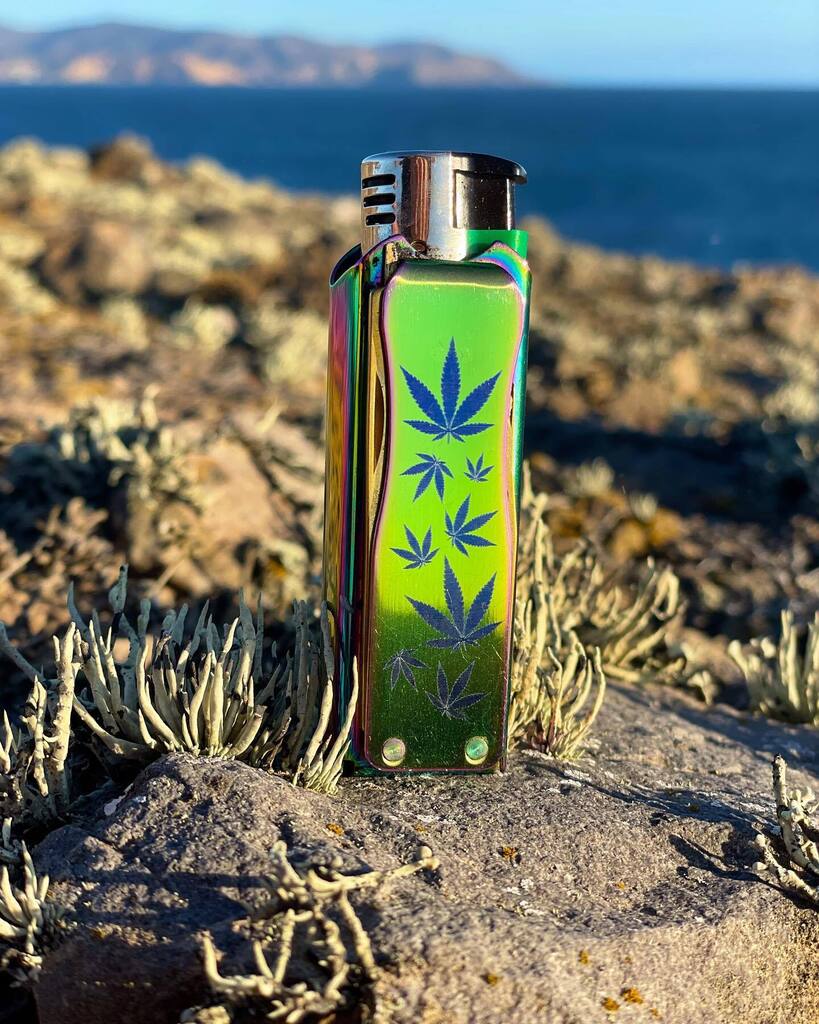 LighterBro tweet media